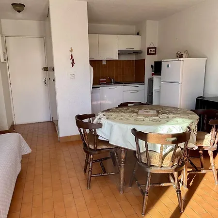 Apartment Cosy 2 Pieces Avec Cabine, Proche A Argeles, Terrasse, Parking, Animaux Admis - Fr-1-225-723
